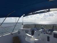 Great day of scuba diving in Key Largo with Rainbow Reef on pickles reef tropical adventure 2017 08 18 r4661 1