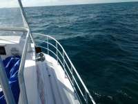 Great day of scuba diving in Key Largo with Rainbow Reef on spanish anchor tropical legend 2017 08 09 r4600 1