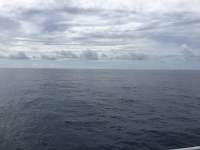 Great day of scuba diving in Key Largo with Rainbow Reef on spiegel grove tropical odyssey 2017 08 10 r4608 1