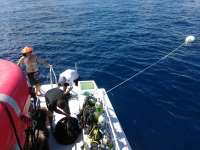 Great day of scuba diving in Key Largo with Rainbow Reef on spiegel grove tropical odyssey 2017 08 12 r4625 1