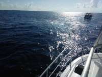 Great day of scuba diving in Key Largo with Rainbow Reef on spiegel grove tropical odyssey 2017 08 17 r4647 1