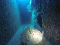 Great day of scuba diving in Key Largo with Rainbow Reef on spiegel grove tropical odyssey 2017 08 18 r4659 1