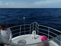 Great day of scuba diving in Key Largo with Rainbow Reef on spiegel grove tropical odyssey 2017 08 24 r4681 1