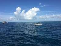 Great day of scuba diving in Key Largo with Rainbow Reef on uscgc bibb tropical odyssey 2017 08 11 r4619 1