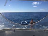Great day of scuba diving in Key Largo with Rainbow Reef on uscgc bibb tropical odyssey 2017 08 30 r4705 1