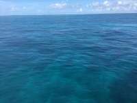 Great day of scuba diving in Key Largo with Rainbow Reef on uscgc duane tropical odyssey 2017 08 23 r4676 1