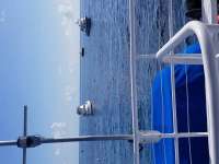 Great day of scuba diving in Key Largo with Rainbow Reef on winch hole tropical adventure 2017 08 12 r4623 1