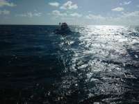 Great day of scuba diving in Key Largo with Rainbow Reef on winch hole tropical legend 2017 08 08 r4596 1