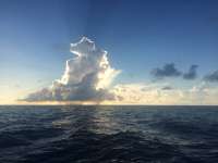 Great day of scuba diving in Key Largo with Rainbow Reef on winch hole tropical legend 2017 08 12 r4628 1
