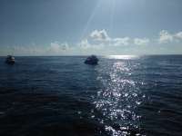 Great day of scuba diving in Key Largo with Rainbow Reef on winch hole tropical legend 2017 08 16 r4641 1