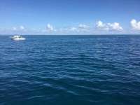 Great day of scuba diving in Key Largo with Rainbow Reef on woodys tropical legend 2017 08 15 r4636 1