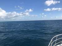 Great day of scuba diving in Key Largo with Rainbow Reef on benwood wreck tropical adventure 2017 12 03 r5072 1