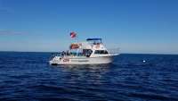 Great day of scuba diving in Key Largo with Rainbow Reef on benwood wreck tropical explorer 2017 12 24 r5169 1