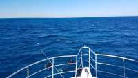 Great day of scuba diving in Key Largo with Rainbow Reef on benwood wreck tropical legend 2017 12 11 r5109 1