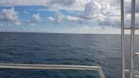 Great day of scuba diving in Key Largo with Rainbow Reef on benwood wreck tropical legend 2017 12 26 r5183 1