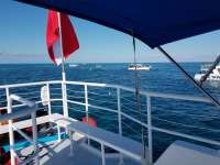 Great day of scuba diving in Key Largo with Rainbow Reef on christ statue tropical adventure 2017 12 20 r5154 1