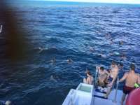 Great day of scuba diving in Key Largo with Rainbow Reef on christ statue tropical odyssey 2017 12 20 r5152 1