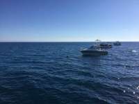 Great day of scuba diving in Key Largo with Rainbow Reef on christ statue tropical odyssey 2017 12 31 r5234 1