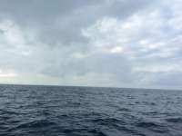 Great day of scuba diving in Key Largo with Rainbow Reef on christmastree cave tropical explorer 2017 12 26 r5184 1