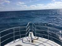 Great day of scuba diving in Key Largo with Rainbow Reef on christmastree cave tropical legend 2017 12 17 r5136 1