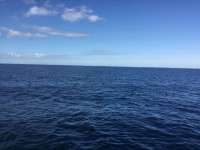 Great day of scuba diving in Key Largo with Rainbow Reef on christmastree cave tropical legend 2017 12 24 r5172 1