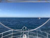 Great day of scuba diving in Key Largo with Rainbow Reef on christmastree cave tropical legend 2017 12 31 r5228 1