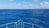 Great day of scuba diving in Key Largo with Rainbow Reef on conch wall tropical odyssey 2017 12 06 r5092 1