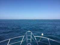 Great day of scuba diving in Key Largo with Rainbow Reef on eagle ray alley tropical adventure 2017 12 21 r5155 1