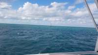 Great day of scuba diving in Key Largo with Rainbow Reef on eagle ray alley tropical legend 2017 12 02 r5066 1