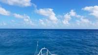 Great day of scuba diving in Key Largo with Rainbow Reef on eagle ray alley tropical legend 2017 12 05 r5087 1