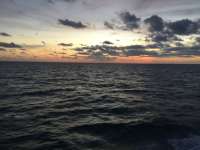 Great day of scuba diving in Key Largo with Rainbow Reef on eagle ray alley tropical legend 2017 12 16 r5133 1