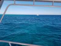 Great day of scuba diving in Key Largo with Rainbow Reef on fire coral cave tropical legend 2017 12 13 r5117 1