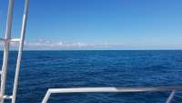 Great day of scuba diving in Key Largo with Rainbow Reef on french reef tropical legend 2017 12 27 r5190 1