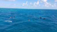 Great day of scuba diving in Key Largo with Rainbow Reef on hole in the wall tropical legend 2017 12 05 r5085 1