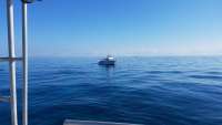 Great day of scuba diving in Key Largo with Rainbow Reef on hole in the wall tropical odyssey 2017 12 21 r5156 1