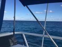 Great day of scuba diving in Key Largo with Rainbow Reef on molasses reef tropical adventure 2017 12 28 r5196 1