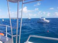 Great day of scuba diving in Key Largo with Rainbow Reef on molasses reef tropical legend 2017 12 06 r5088 1