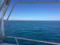 Great day of scuba diving in Key Largo with Rainbow Reef on molasses reef tropical legend 2017 12 14 r5120 1
