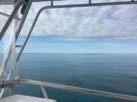 Great day of scuba diving in Key Largo with Rainbow Reef on molasses reef tropical legend 2017 12 15 r5127 1