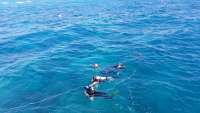Great day of scuba diving in Key Largo with Rainbow Reef on molasses reef tropical legend 2017 12 23 r5165 1