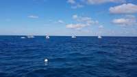Great day of scuba diving in Key Largo with Rainbow Reef on molasses reef tropical legend 2017 12 28 r5195 1