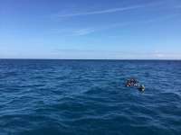 Great day of scuba diving in Key Largo with Rainbow Reef on molasses reef tropical legend 2017 12 29 r5206 1