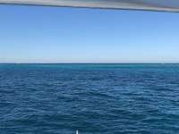Great day of scuba diving in Key Largo with Rainbow Reef on molasses reef tropical legend 2017 12 31 r5231 1