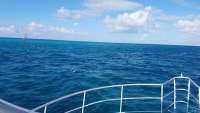 Great day of scuba diving in Key Largo with Rainbow Reef on molasses reef tropical odyssey 2017 12 01 r5059 1