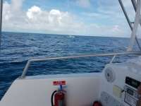 Great day of scuba diving in Key Largo with Rainbow Reef on molasses reef tropical odyssey 2017 12 07 r5097 1