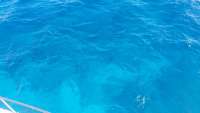 Great day of scuba diving in Key Largo with Rainbow Reef on pickle barrel wreck tropical voyager 2017 12 29 r5202 1