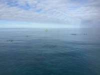Great day of scuba diving in Key Largo with Rainbow Reef on pickles reef tropical legend 2017 12 15 r5128 1
