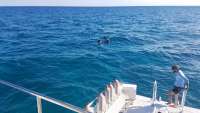 Great day of scuba diving in Key Largo with Rainbow Reef on pickles reef tropical voyager 2017 12 29 r5207 1
