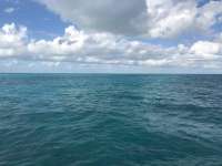 Great day of scuba diving in Key Largo with Rainbow Reef on pts ledge tropical adventure 2017 12 02 r5067 1