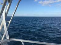 Great day of scuba diving in Key Largo with Rainbow Reef on sand island tropical legend 2017 12 30 r5222 1